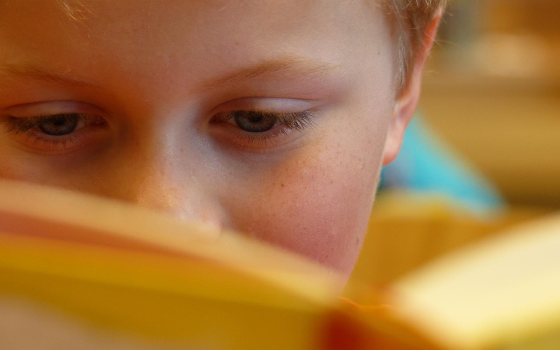 Lesender Bub. Gesicht halb durch aufgeschlagenes Buch verdeckt